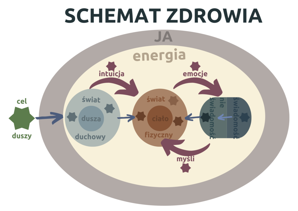Schemat sieci zdrowia - 6 obszarów