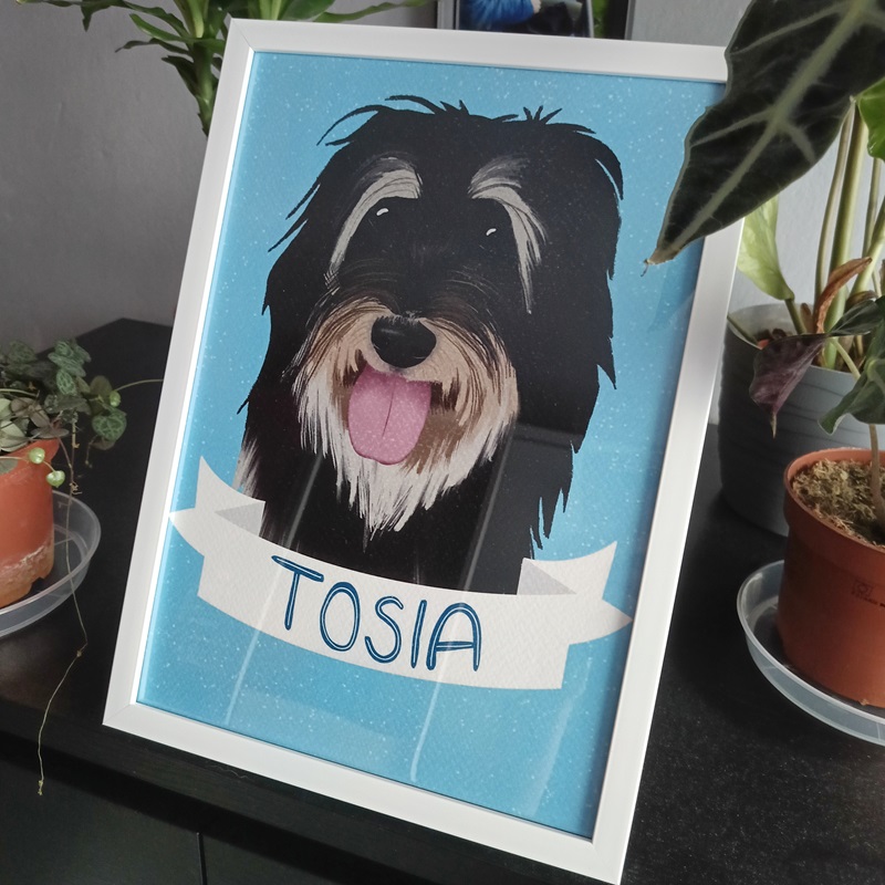 Portret domowego pupila jako prezent pod choinkę