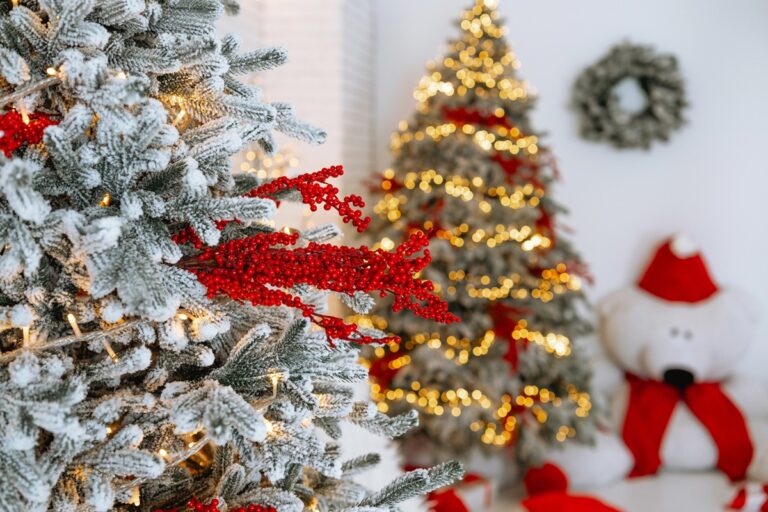 Read more about the article Święta Bożego Narodzenia na świecie