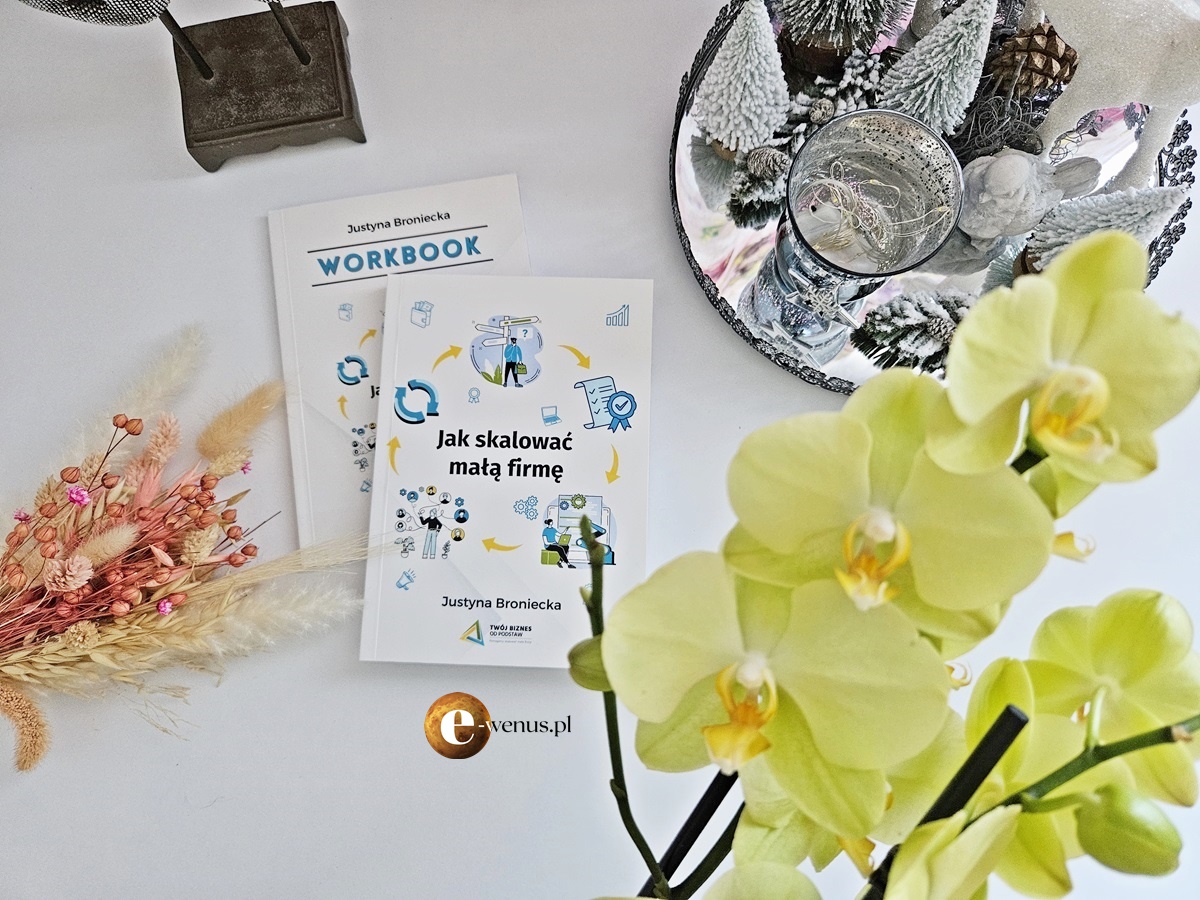 You are currently viewing Standaryzacja w skalowaniu firmy