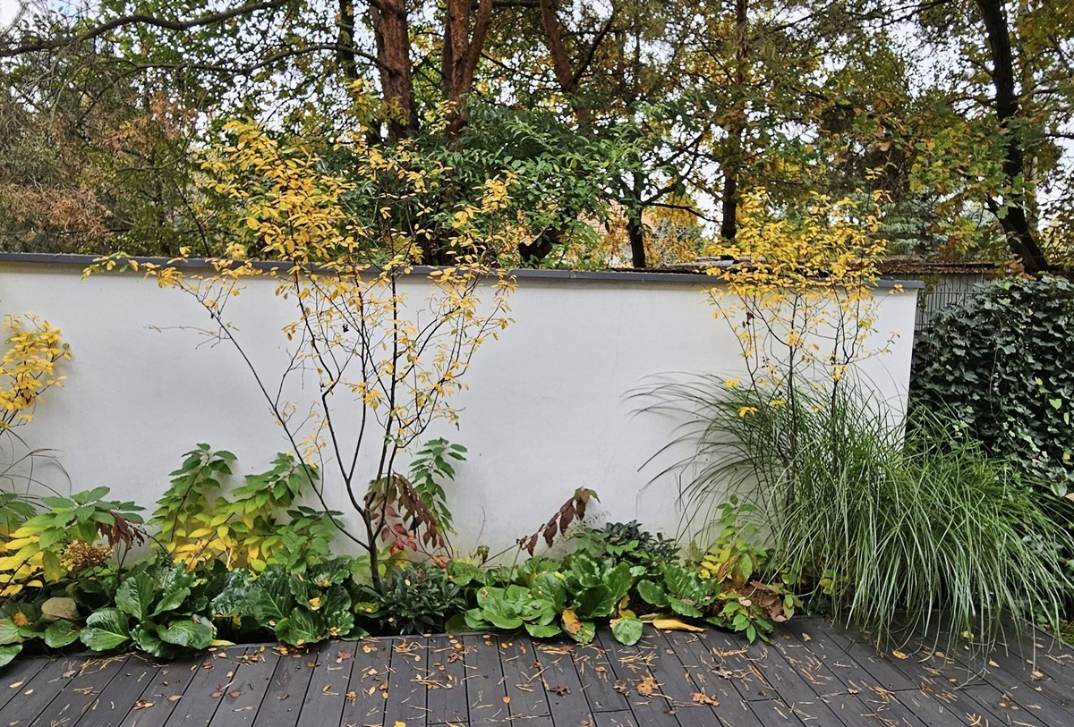 You are currently viewing Twój zielony azyl: efektowny i łatwy w utrzymaniu ogród