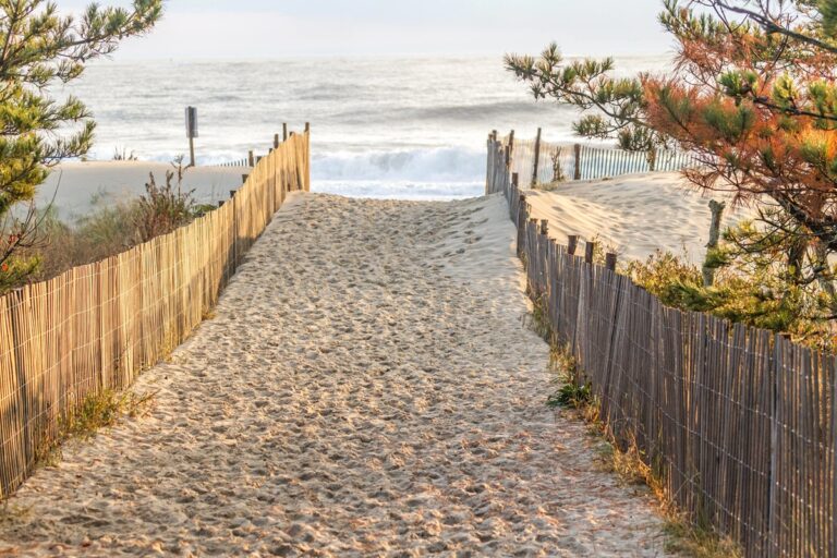 Read more about the article Wiosna nad morzem: co robić wiosną w Krynicy Morskiej i na Wyspie Sobieszewskiej?