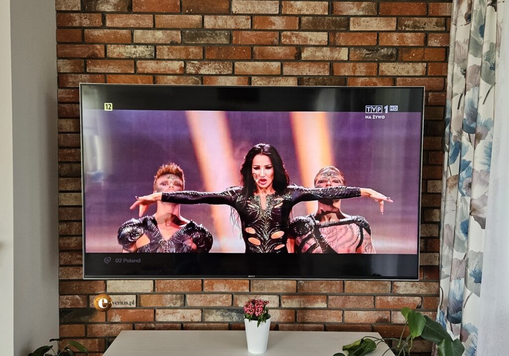 Justyna Steczkowska w półfinale Eurowizji 2025