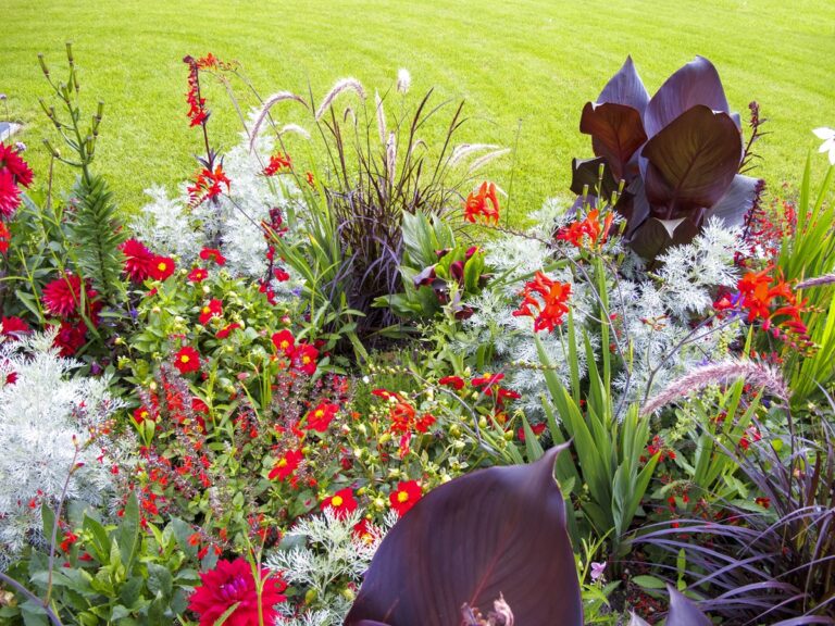 Read more about the article Ogród w rytmie kobiety – jak dbać o rośliny w czasie letnich wyjazdów