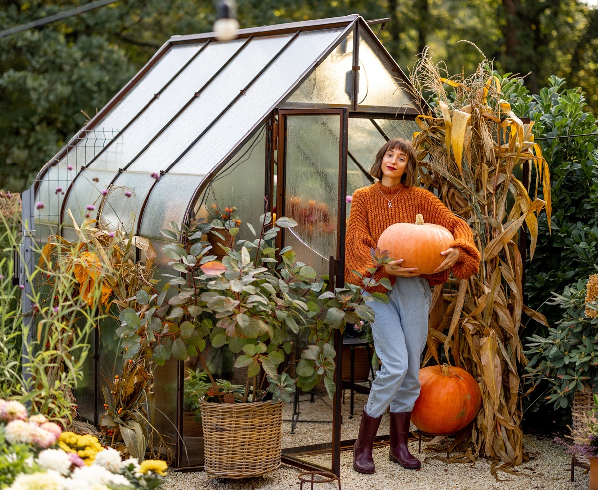 You are currently viewing Jak przygotować ogród na jesień? Praktyczny przewodnik