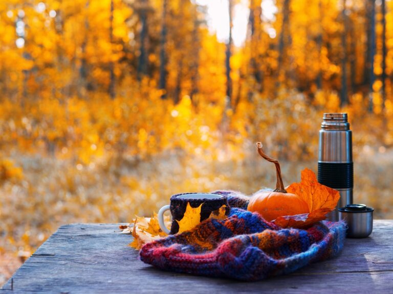 Read more about the article Równonoc jesienna – rytuały na równowagę, harmonię i wewnętrzny spokój