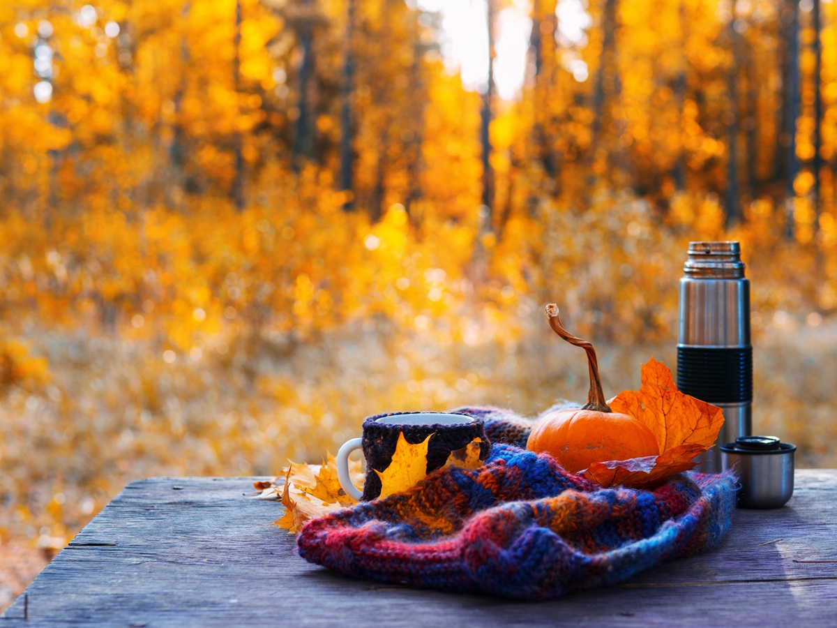 You are currently viewing Równonoc jesienna – rytuały na równowagę, harmonię i wewnętrzny spokój