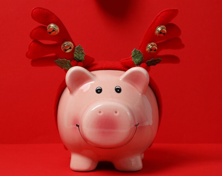 Read more about the article Jak przygotować budżet na święta? Kobiecy plan finansowy na listopad